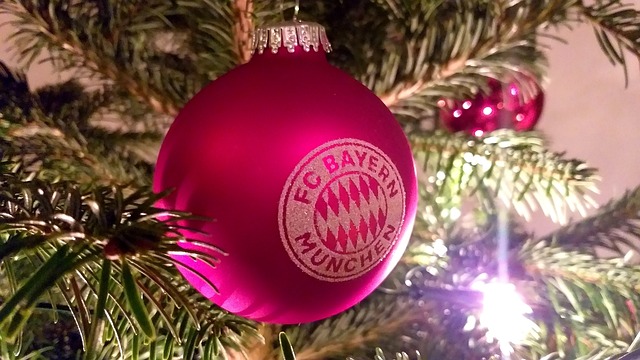 指明了方向 指明了方向