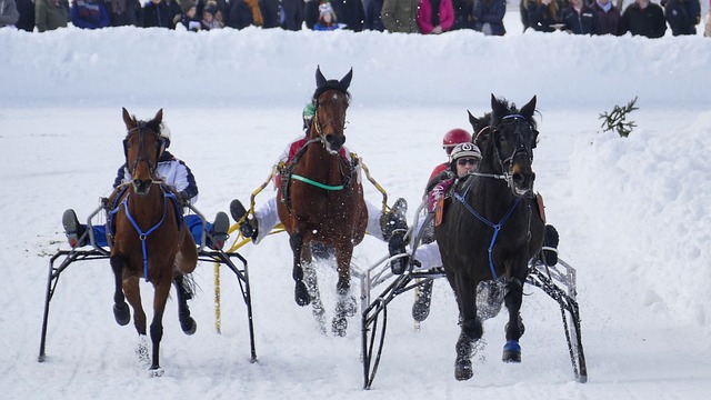 的强点在于 的强点在于