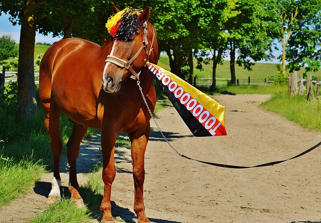 博得众人喝 博得众人喝