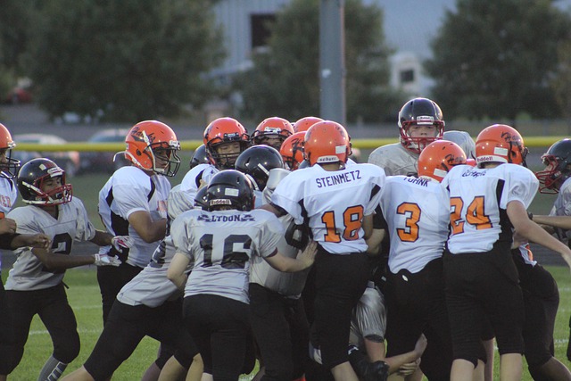 员和球队效 员和球队效