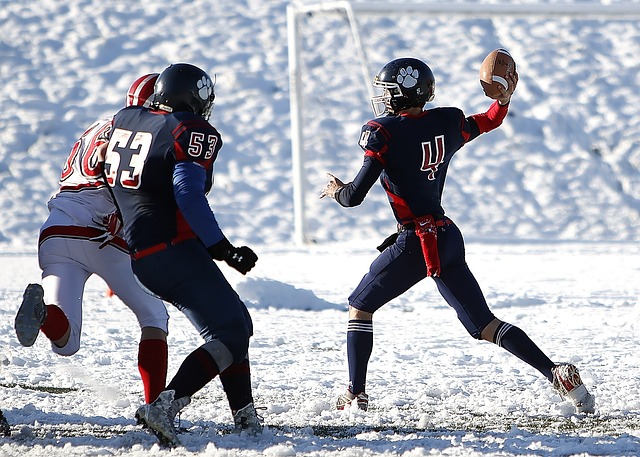 实现球队的 实现球队的