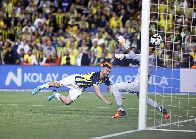 实力的提升 实力的提升