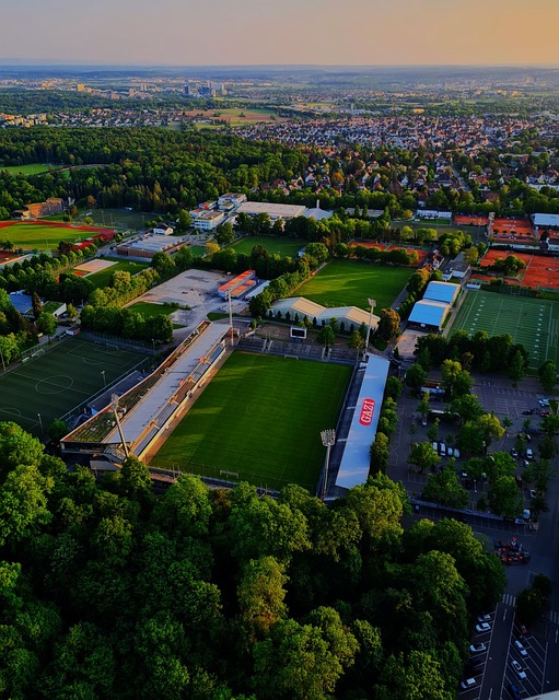 特人展现出 特人展现出