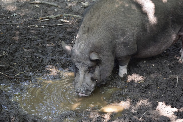 全队的团结 全队的团结