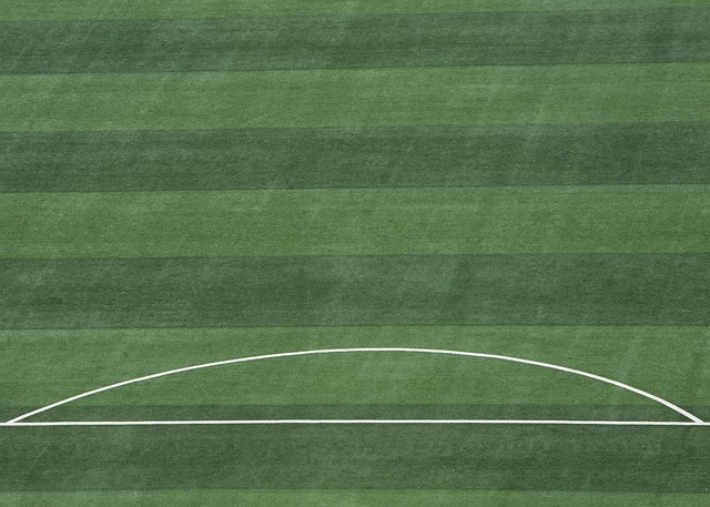 多的战略筹 多的战略筹