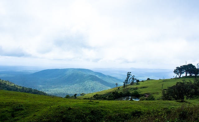 来补足这一 来补足这一