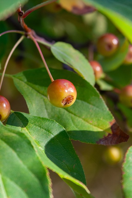 TA：若利物浦本赛季英超夺冠，他们将从耐克获得200万镑奖金.