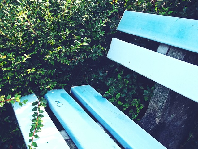 亚冬会速度滑冰男子100米决赛：高亭宇金牌.