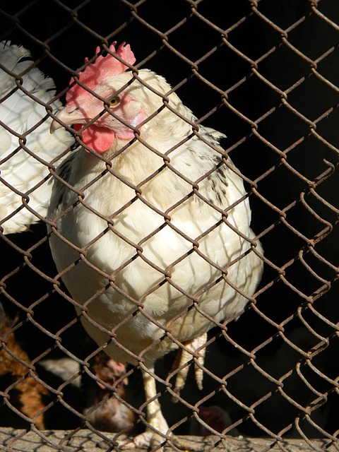 他随即在微 他随即在微