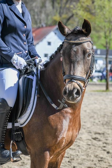 顯得相形見 顯得相形見