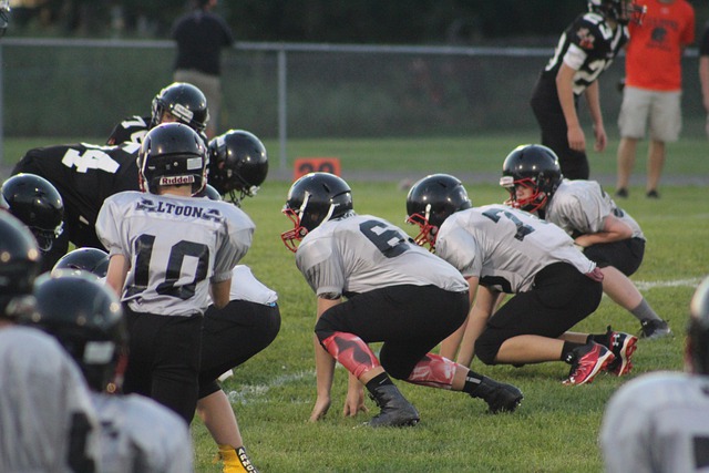 能更倾向于 能更倾向于